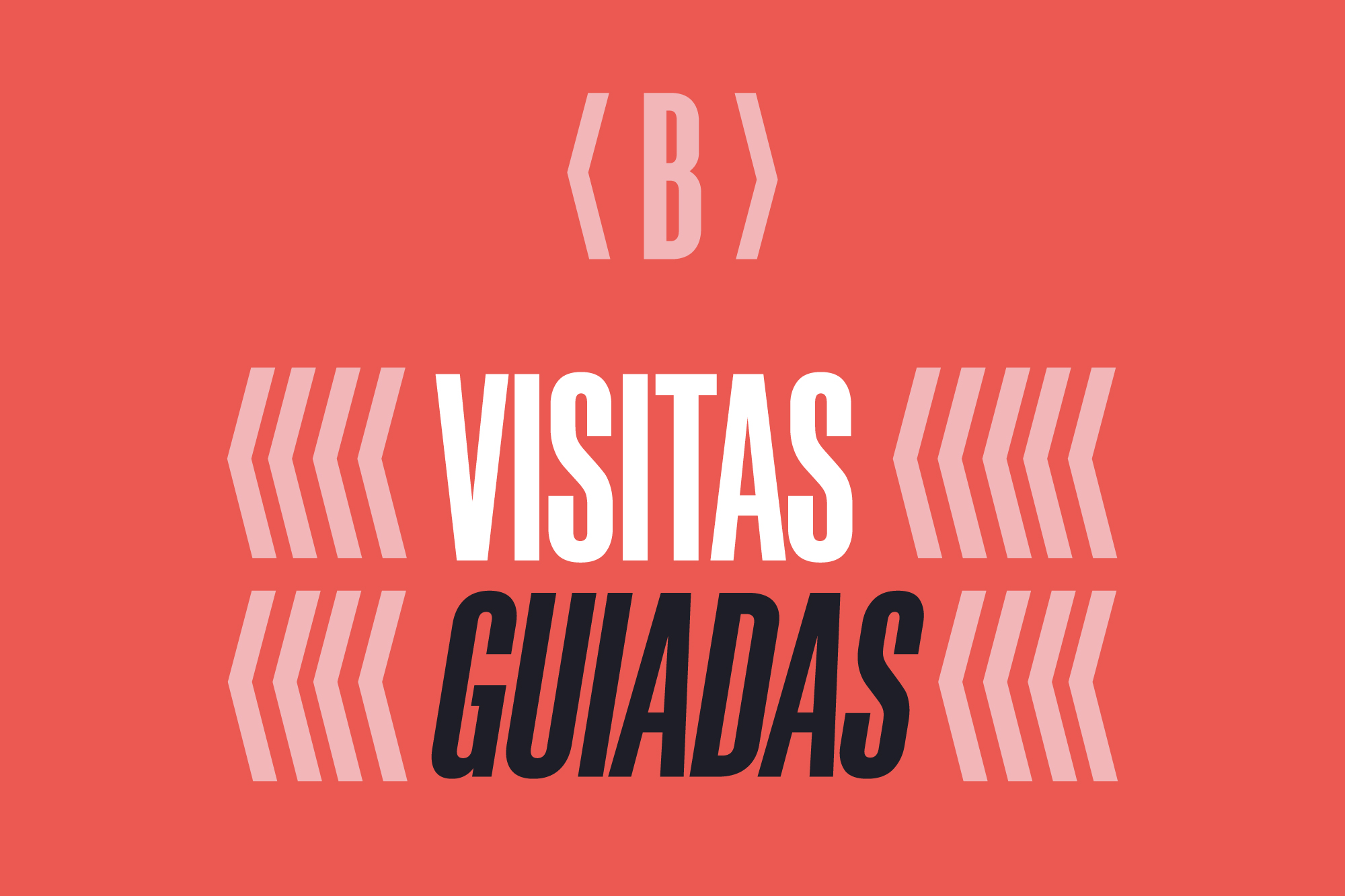 Visitas guiadas