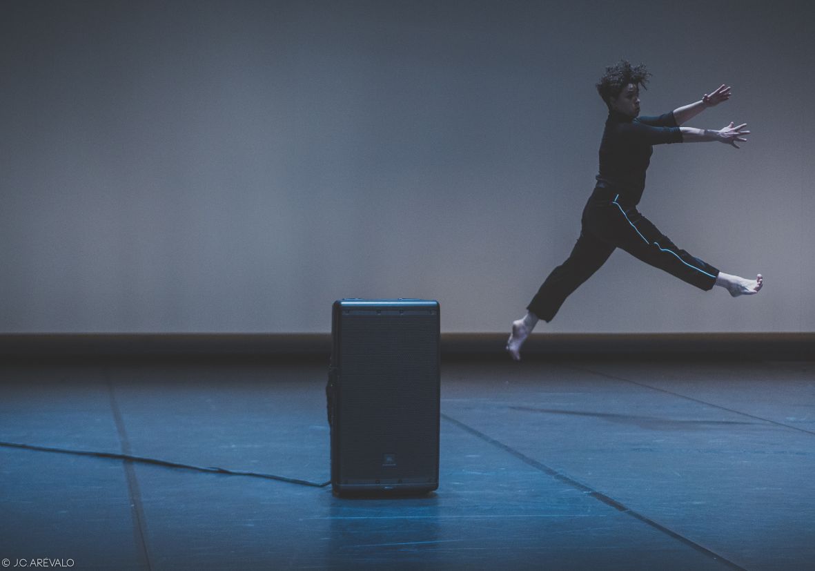 <em>O raro é que bailar sexa raro</em>
